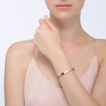[ Cartier ] Cartier LOVE BRACELET, 4 DIAMONDS Bracelet, 4 diamonds - Image 7